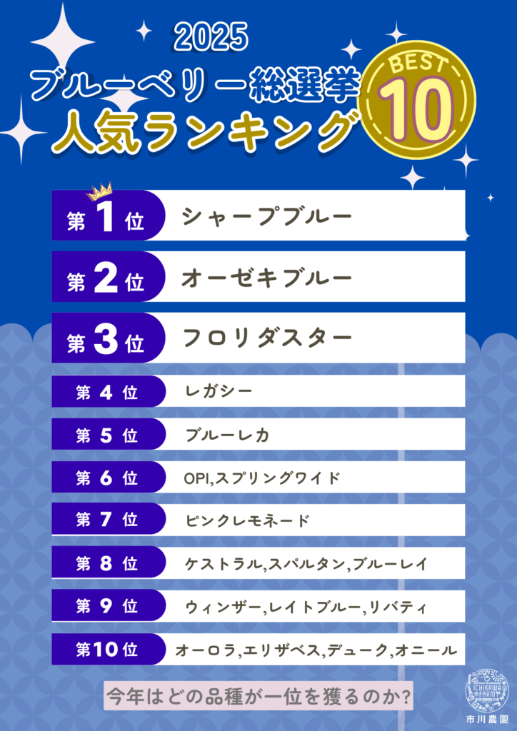 ブルーベリー総選挙2024