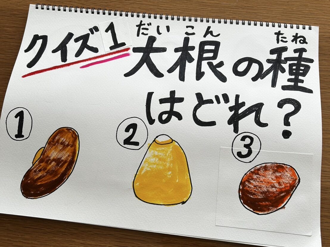 大根収穫体験で学ぶ子どもたち
