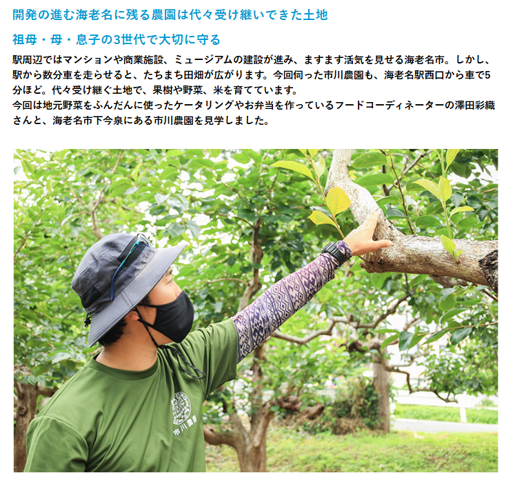 ViNA GARDENS 掲載記事