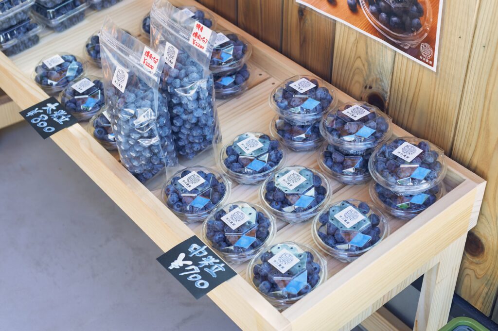 市川農園のブルーベリー直売