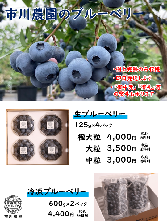 ブルーベリー 商品ラインナップ・価格表