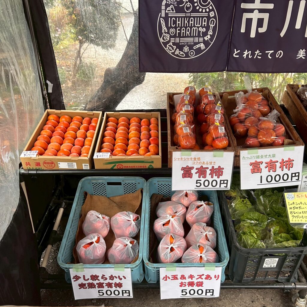市川農園の富有柿直売