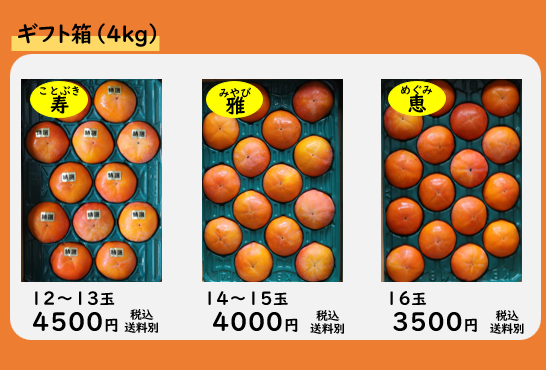 富有柿 商品ラインナップ・価格表1